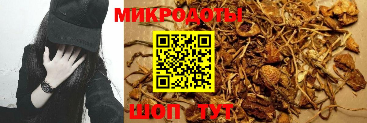 Галлюциногенные грибы мухоморы Бердск