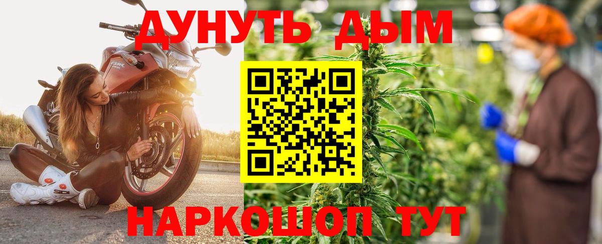 Канабис Amnesia  Конопля Ganja  Бердск  Вход с VPN  Каннабис OG Kush 